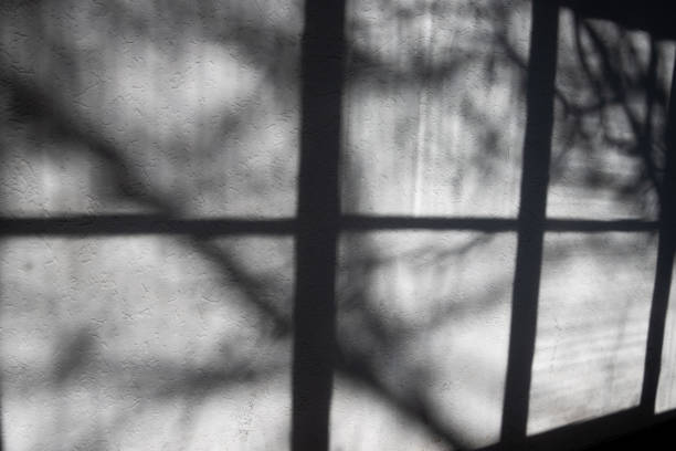 istock Light and shadow of a old window frame and branches on a white grungy wall 1387958390