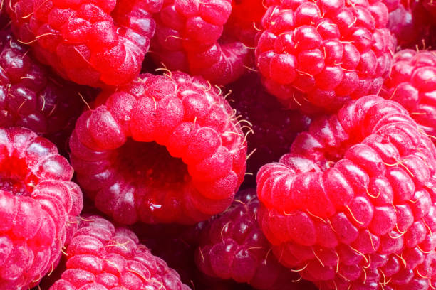 istock Ripe raspberries macro shot. Fruit background.Selective focus 1387959098