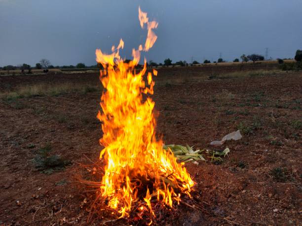 istock Burning straw in the countryside. 1387959106