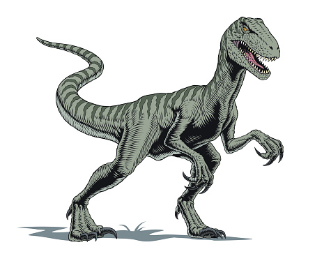 Velociraptor dinosaur isolated on white, comic book style vector illustration