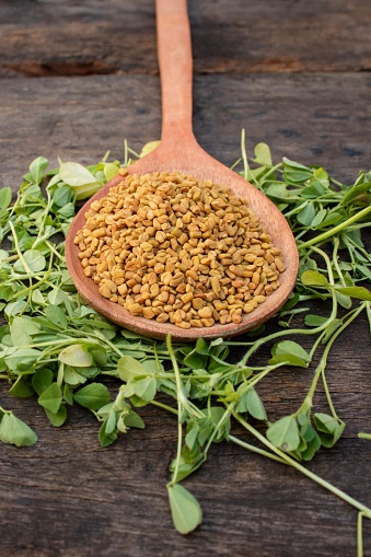 Closeup of Fenugreek Seeds in a Wooden Ladle with Raw and Organic Fenugreek Leaves Isolated on Wooden Background in Vertical Orientation.