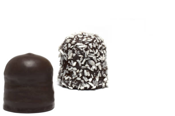 Close up of two chocolate covered and coated marshmallows leaning against each other against white background on a cookie one covered with coconut flakes and both filled with sugar foam and one of them