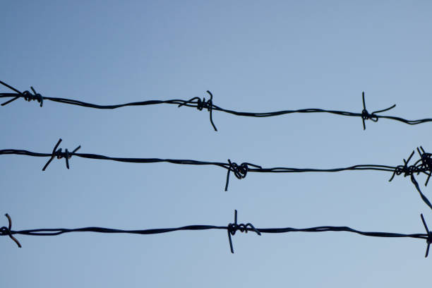 istock barbed wire against the blue sky. Chain with spike for safety and security boundary concept for human rights slave, prison hostage hope to freedom. International liberty day. russia ukraine 1387962656