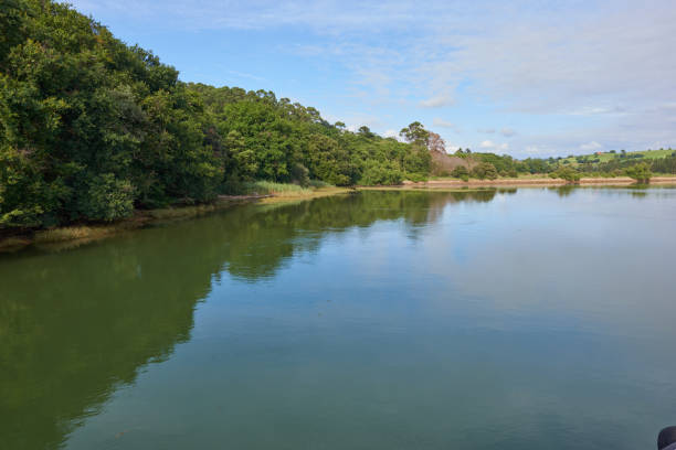 istock A river with vegetation along its banks under a cloudy sky 1387964637