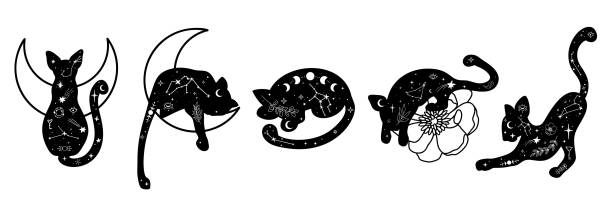 Hand drawn collection of celestial wild animals Hand drawn collection of celestial animals. Mystical compositions with moons, cats, constellations cat witch stock illustrations