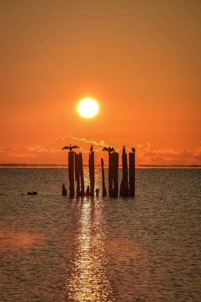 istock Beautiful morning seaside view. 1387973392