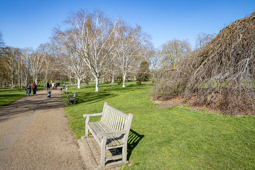 Park Bench at Hyde Park in City of Westminster, London, with people visible in the background.
