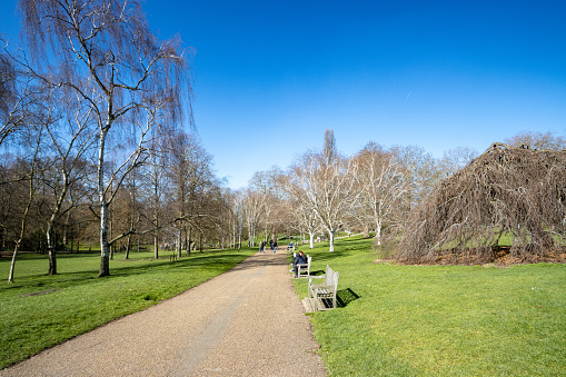 Park Bench on Serpentine Road at Hyde Park in City of Westminster, London, with people visible in the background.