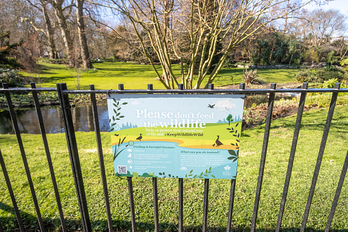 Please Don;t Feed the Wildlife Sign at Hyde Park in City of Westminster, London. Illustrations are visible on the sign.