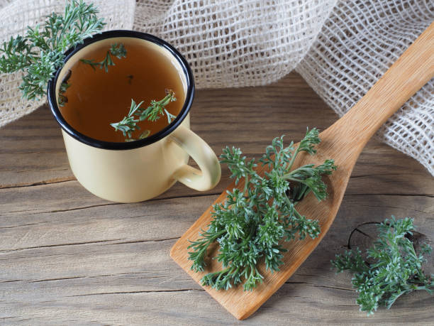 frische junge wermutblätter in einem holzlöffel und kräutertee in einer tasse, serviette auf einem holztisch, flache anordnung. heilpflanze artemisia absinthium zur verwendung in lebensmitteln, medizin, homöopathie und kosmetik - gemeiner beifuß fotos stock-fotos und bilder