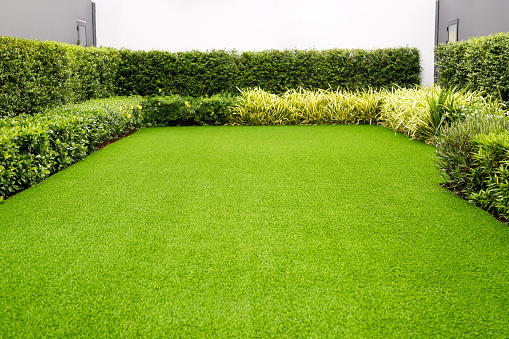 Campo de hierba prado verde en el frente del jardín de la casa. photo