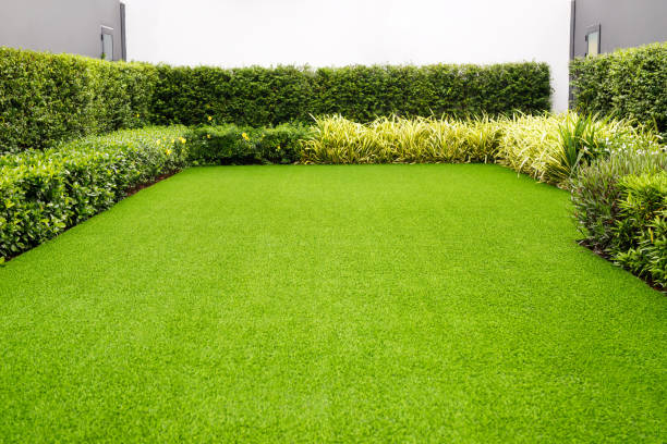잔디밭 초원은 집 앞의 정원에 녹색입니다. - grass family 뉴스 사진 이미지
