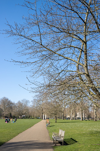 Footpath at St James's Park in City of Westminster, London, with tourists visible in the background.
