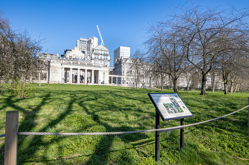 The Queen's Meadow at Green Park in City of Westminster, London. The sign includes images to illustrate the flora. The RAF Bomber Squadron memorial can be seen in the background.