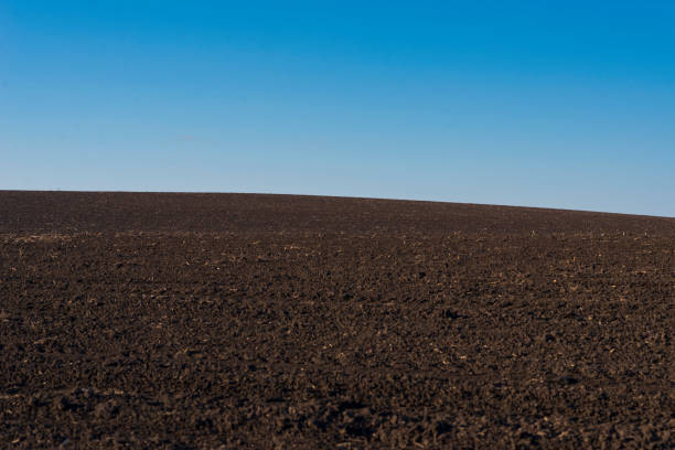 istock Ploughed field and blue sky as background. 1387985151