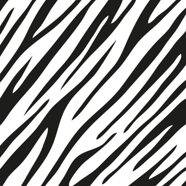 istock tiger stripes background for decorating the background of wild animals 1387985167