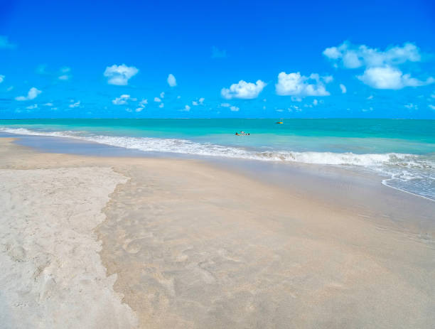 Wide view of Barra Grande beach, Maragogi - AL, Brazil. stock photo