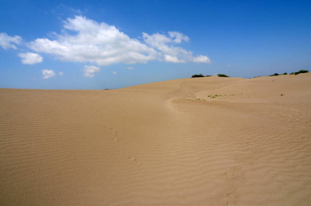 Ovarian lagoon national park, Adana - Turkey