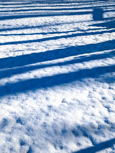 istock Sunset in the woods in winter 1387989199