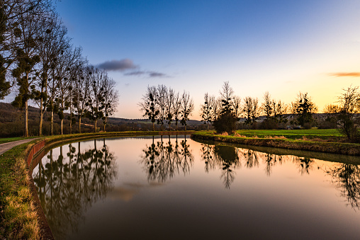 Panoramic landscape with trees reflecting in the water lining the canal. evening mood in france. Côte d'Or, Bourgogne-Franche-Comté, France