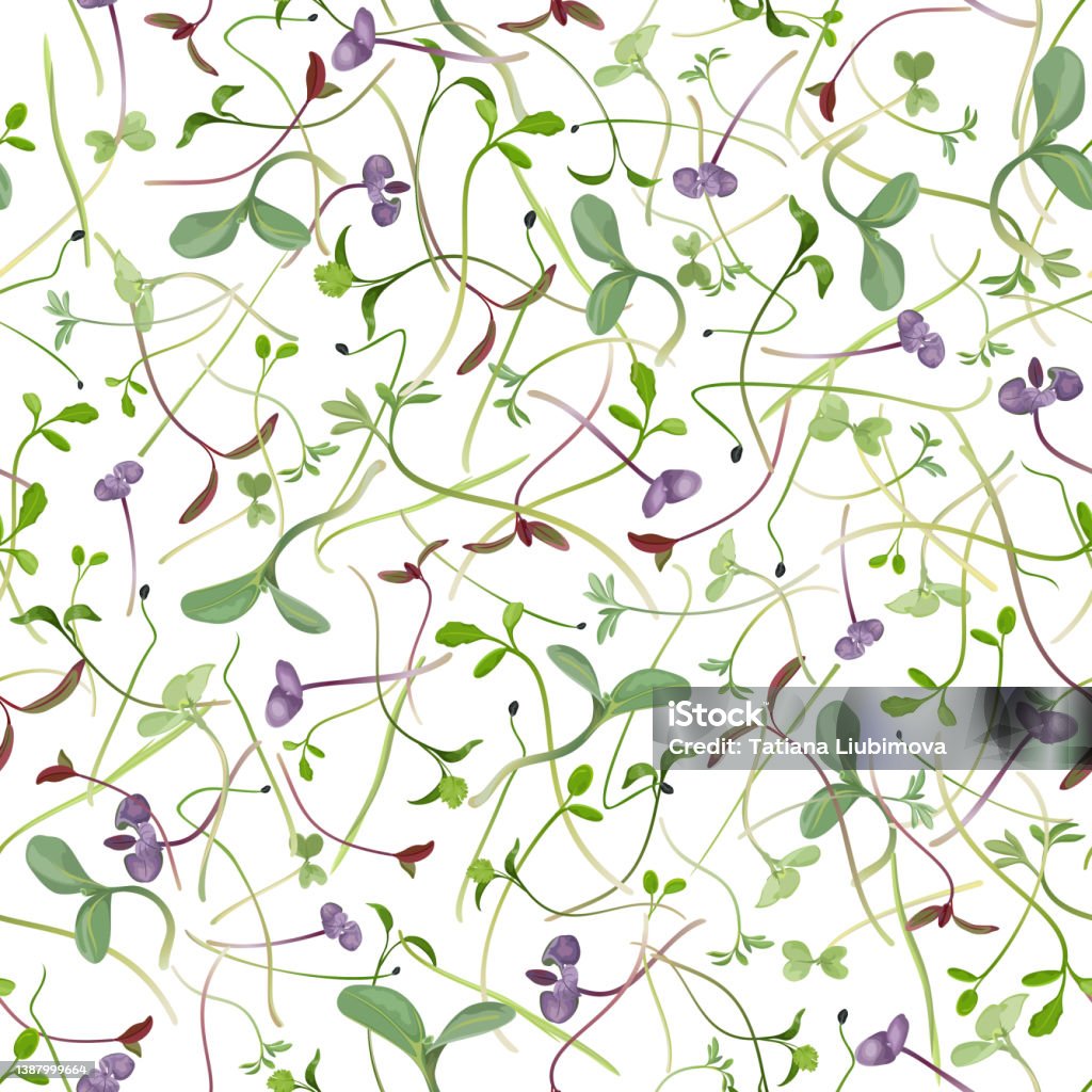 Sprouting Patterns Seamless Repeating Pattern Of Sprouting Microgreens On White Background ...