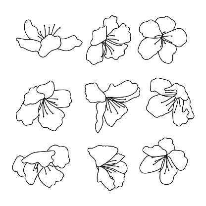 A set of hand drawn azalea flower icons with elegant petals and simple lines in a vector illustration.