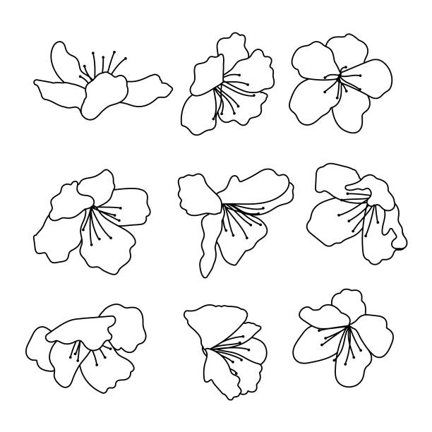 Azalea Rhododendron Flowers Vector Icon Set A set of hand drawn azalea flower icons with elegant petals and simple lines in a vector illustration. azalea stock illustrations