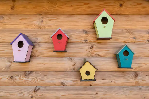 Photo of Many bright colored birdhouse and bird feeders on wooden fence. Different birdhouses on wall