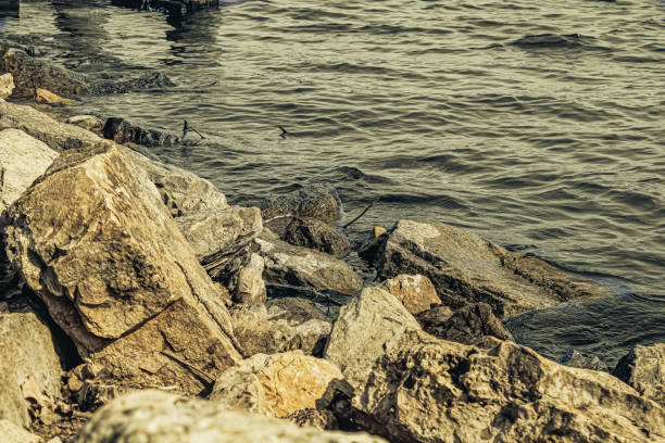 Water floats on the boat landing rocks