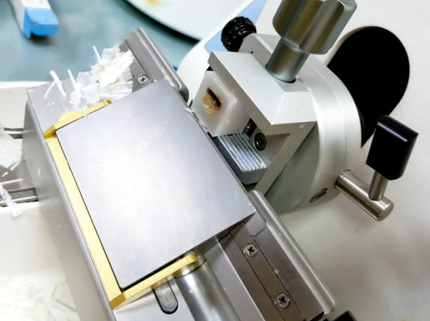 istock Tissue cutting machine or Manual Rotary Microtome isolated with paraffin tissue block in histopathology laboratory. 1388008237