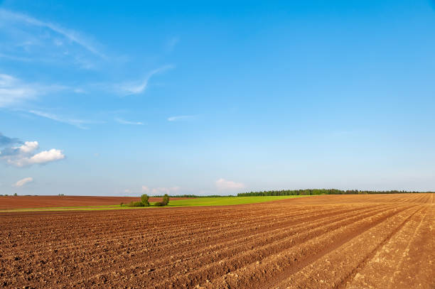 istock plowed field and blue sky in sunset 1388011887