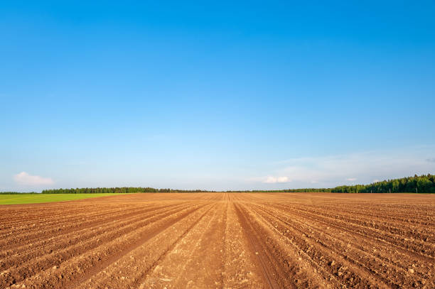 istock plowed field and blue sky in sunset 1388011907