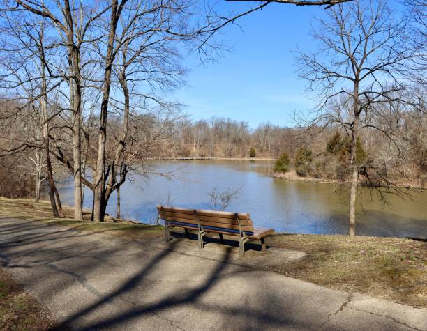 istock Lake in the Park 1388014477