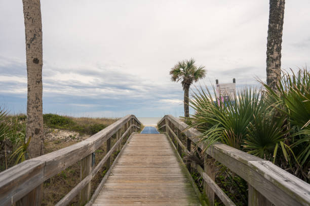 istock Grasses and fence along path ,Amelia Island, Florida 1388015870