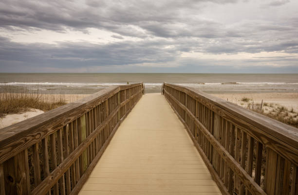 istock Grasses and fence along path ,Amelia Island, Florida 1388015905