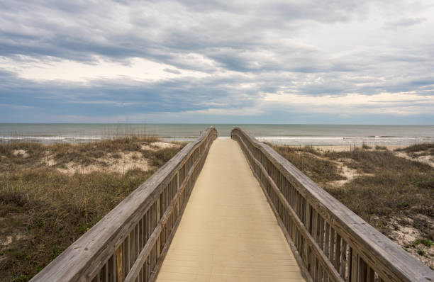 istock Grasses and fence along path ,Amelia Island, Florida 1388015951
