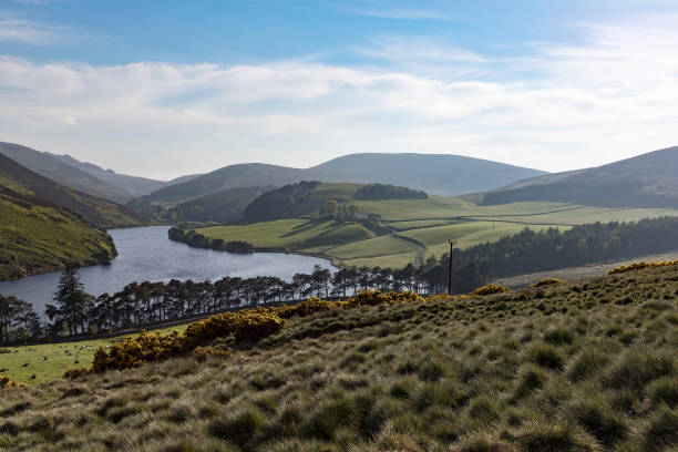 istock Sunny day at Pentland Hills 1388016070
