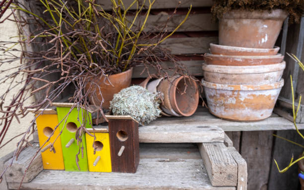 istock spring composition. colorful bird houses, edge flower pots 1388016885