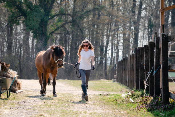 istock Young woman walking with horse on ranch 1388020356