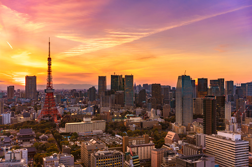the breathtaking Shibuya skyline at dusk, as viewed from the observation deck of the Shibuya Sky building in Tokyo, Japan. The Tokyo Tower, an iconic symbol of Japan's capital, pierces the sky with its red and white lattice structure, standing out amidst a forest of modern skyscrapers. The city is bathed in the subtle, warm light of the setting sun, casting soft shadows and highlighting the architectural contours of the buildings. The vast urban tapestry below is a testament to Tokyo's bustling life and vertical expansion, with the detailed city grid sprawling into the horizon. The image encapsulates the juxtaposition of Tokyo's rapid modernization and its iconic history, all under the tranquil hues of the twilight sky