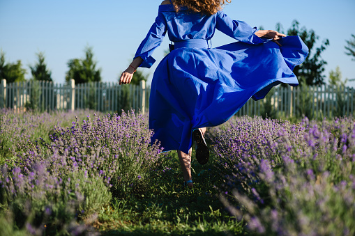 Attractive young positive woman in a blue dress is spinning, running in a lavender field. Hair and dress are blowing in the wind. View from the back.