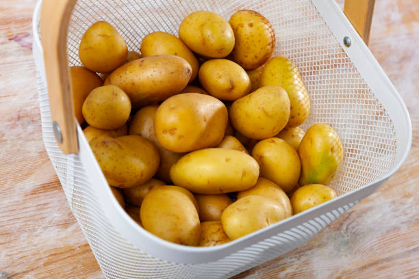 istock Fresh potatoes in steel mesh bucket on wooden table 1388024118