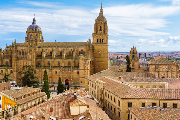 stunning aerial view of the city of salamanca with its cathedral emerging from the roofs of the houses - new seven wonders of the world imagens e fotografias de stock