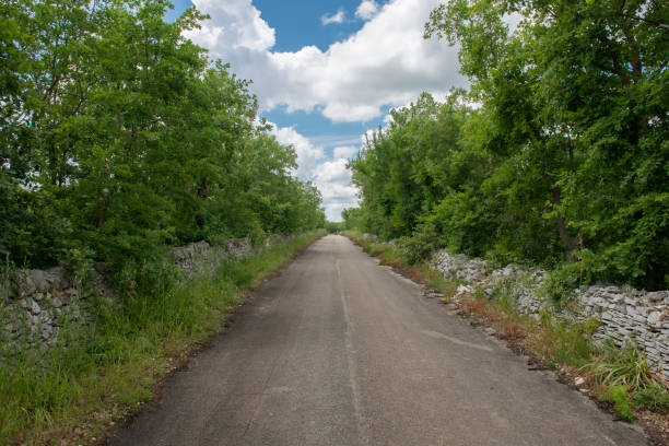 Murgia, Apulia, Southern Italy. Small road in the countryside Lonely small road in the countryside. Parco Nazionale dell'alta Murgia, Bari murge photos stock pictures, royalty-free photos & images
