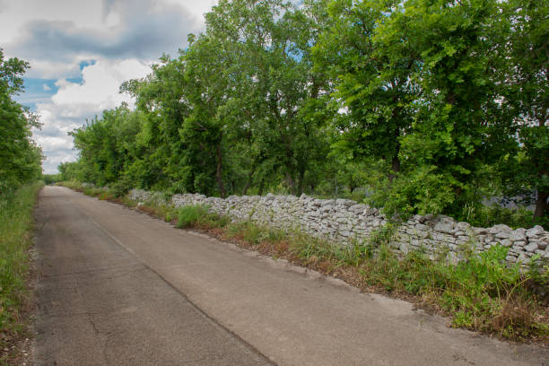 Murgia, Apulia, Southern Italy. Small road in the countryside stock photo