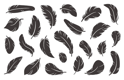 Feather icons. Black plumage silhouettes. Different shapes birdy elements. Smooth and fluffy feathering. Softly and bend goose lightweight plume. Writing pen. Simple style. Vector isolated quills set