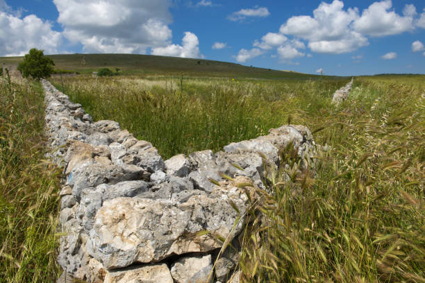 Spring in Apulia, Murgia, Southern Italy, Bari stock photo