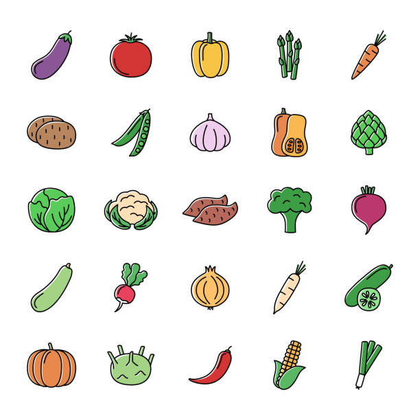 zestaw kolorowych ikon linii warzyw na białym tle, ilustracja wektorowa - vegetable leek kohlrabi radish stock illustrations