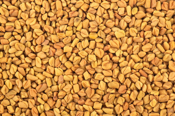 Fenugreek seeds, as background. Culinary ingredient - methi dana, hulba, heyseed, dari. Fenugreek seeds, as background. Culinary ingredient - methi dana, hulba, heyseed, dari. fenugreek stock pictures, royalty-free photos & images