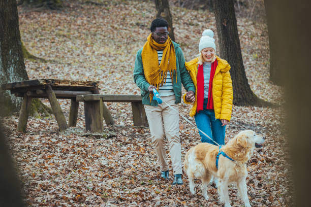 istock Couple Taking Golden Retriever For Walk. 1388032724